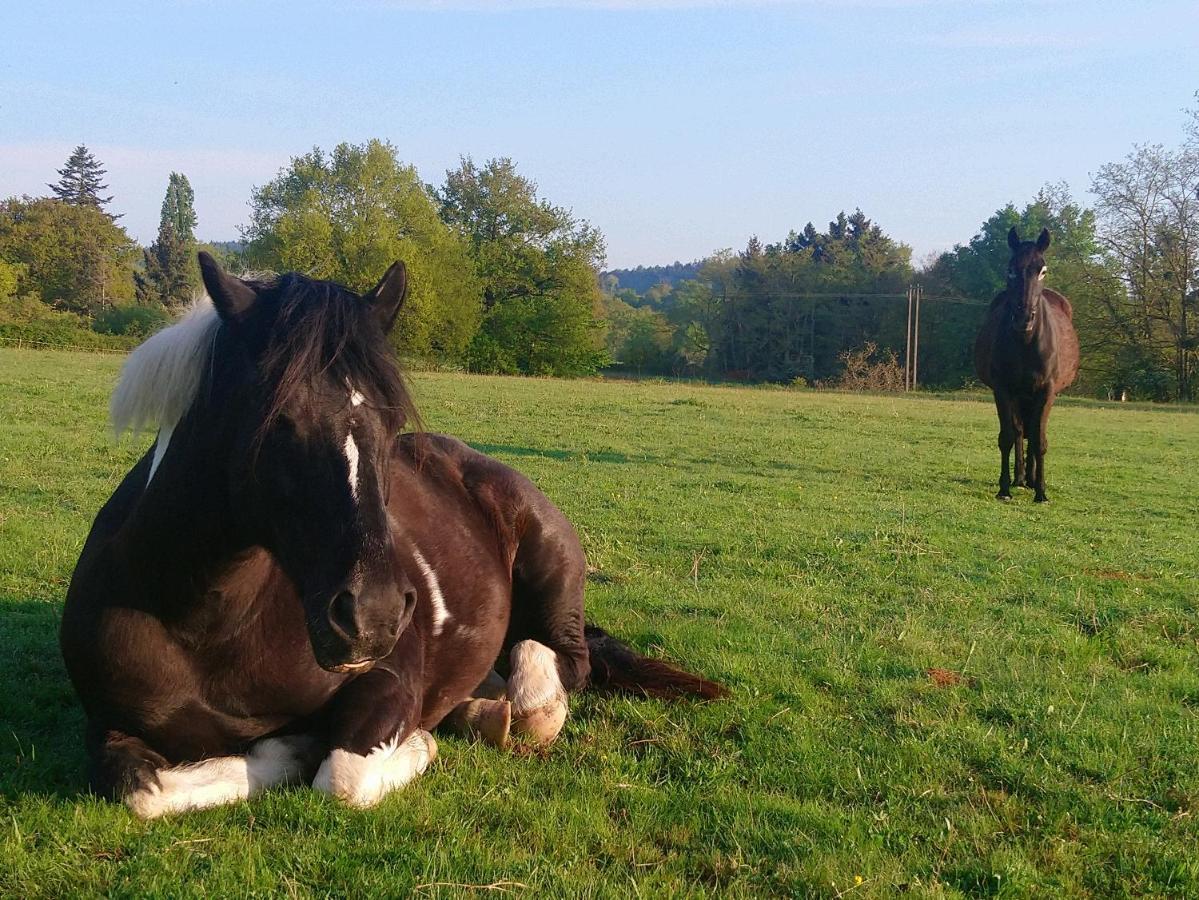 Clan Boucheron Louroux-Bourbonnais Bagian luar foto