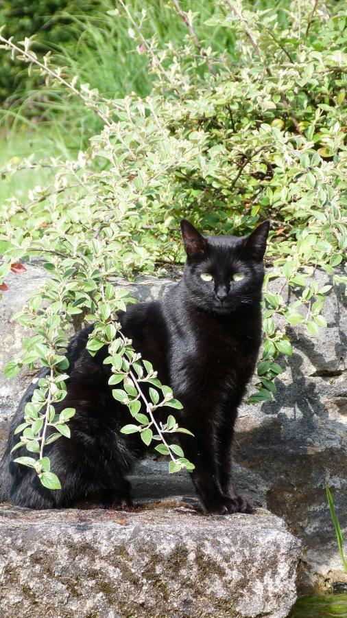 Clan Boucheron Louroux-Bourbonnais Bagian luar foto